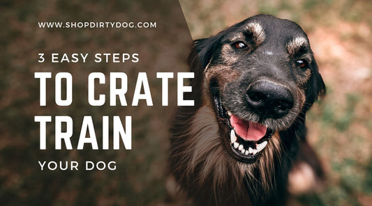 3 Easy Steps to Crate Train Your Dog