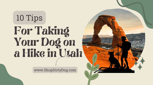10 Essential Tips for Taking Your Dog on a Hike in Utah