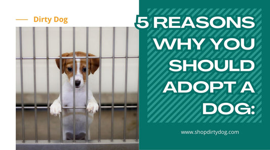 5 Reasons Why You Should Adopt A Dog: Puppy Adoption Resources for the USA