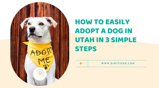 How to Easily Adopt a Dog in Utah in 3 Simple Steps
